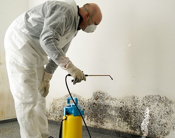 Free Mold Inspection - Mold Remediation Fort Lauderdale